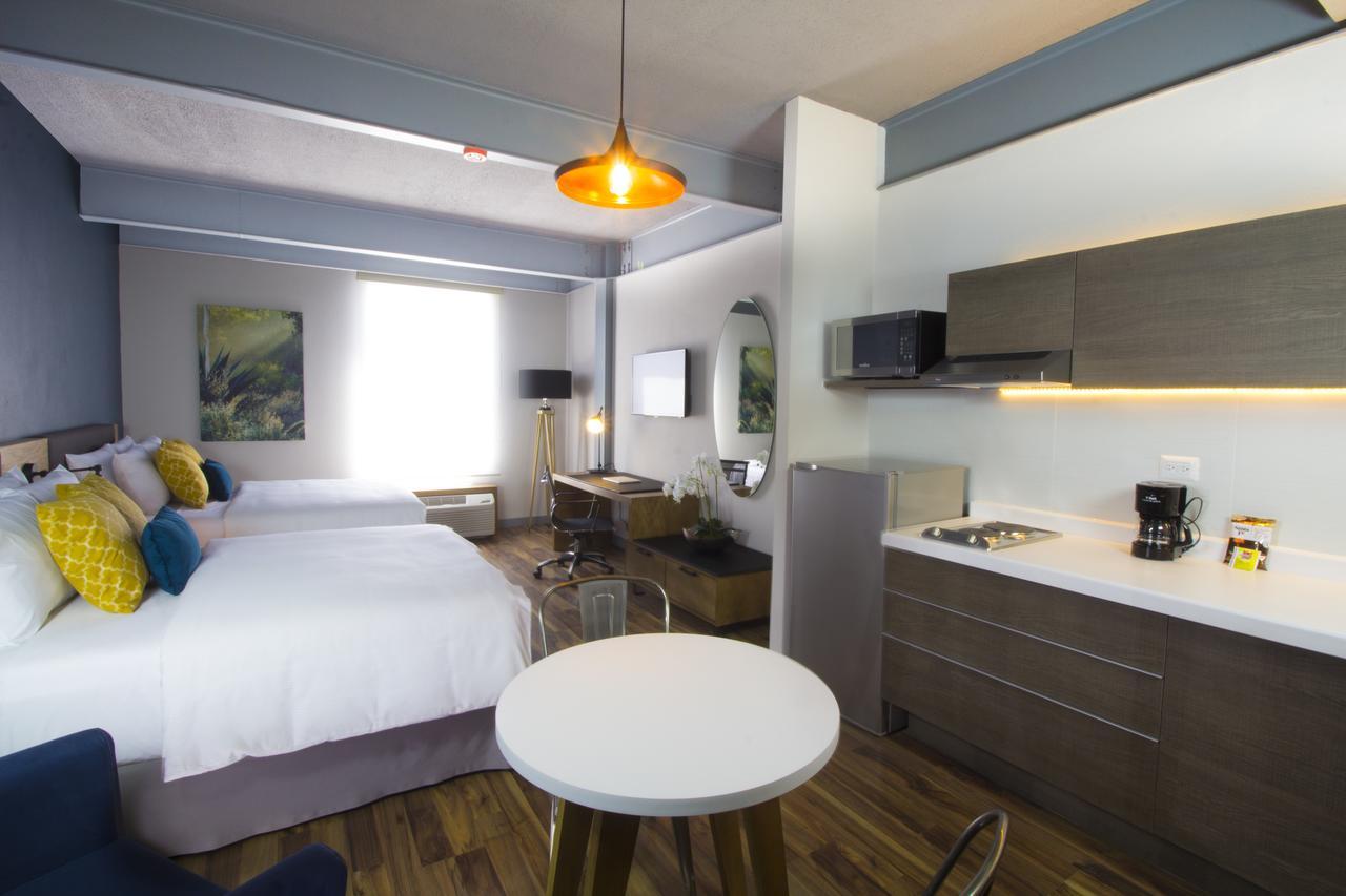 Tryp By Wyndham San Luis Potosí Exterior foto